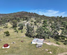 Rural / Farming commercial property sold at Lot 3  7553 New England Highway Tenterfield NSW 2372