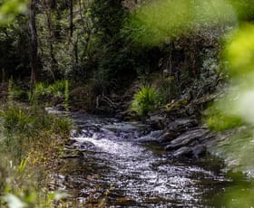 Rural / Farming commercial property sold at 'The Ruins' Cells Road Cells River NSW 2424