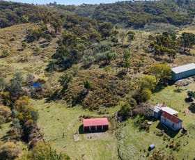Rural / Farming commercial property for sale at Mudgee NSW 2850