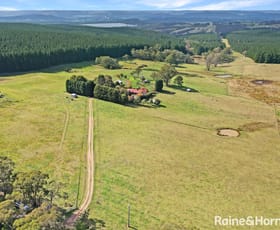 Rural / Farming commercial property for sale at 34 Cases Lane Mount Lambie NSW 2790