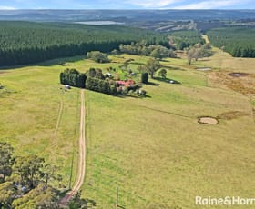 Rural / Farming commercial property sold at 34 Cases Lane Mount Lambie NSW 2790