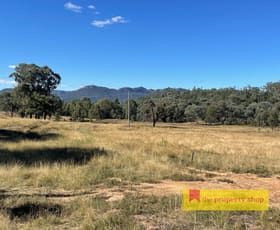 Rural / Farming commercial property for sale at 306 Port Macquarie Road Rylstone NSW 2849