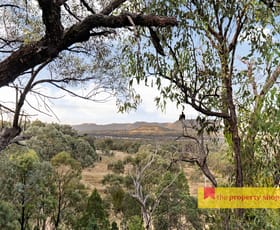Rural / Farming commercial property for sale at 306 Port Macquarie Road Rylstone NSW 2849