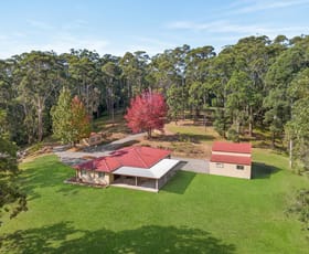 Rural / Farming commercial property for sale at 85 Brush Road Ourimbah NSW 2258