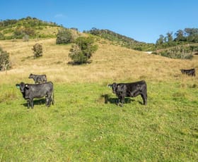Rural / Farming commercial property sold at 7748 Oxley Highway Mount Seaview NSW 2446