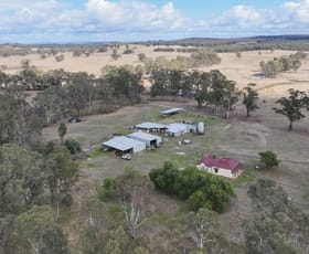 Rural / Farming commercial property for sale at 3684 Heathcote-Nagambie Road Mitchellstown VIC 3608