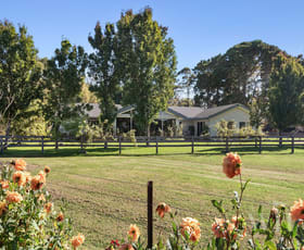 Rural / Farming commercial property for sale at 2855 Frankston-Flinders Road Balnarring VIC 3926
