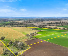 Rural / Farming commercial property sold at Lot 2 Hausfields Road Duri NSW 2344