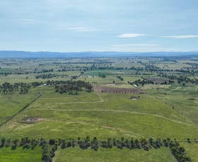 Rural / Farming commercial property for sale at "Creslea" 14409 New England Hwy Tamworth NSW 2340