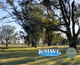 Rural / Farming commercial property for sale at "Kyalla" 156 Forest Road Forbes NSW 2871