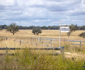 Rural / Farming commercial property for sale at 'Coombah' 980 Ashford Road Inverell NSW 2360