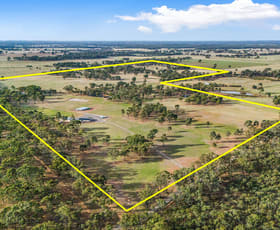 Rural / Farming commercial property for sale at 166 Nixons Road Shelbourne VIC 3515