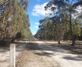 Rural / Farming commercial property sold at 369 Memana Road Whitemark TAS 7255