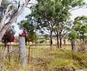 Rural / Farming commercial property for sale at 2081 Sofala Road Peel NSW 2795