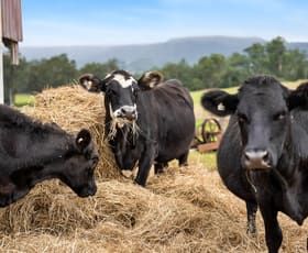 Rural / Farming commercial property sold at 110 Homestead Lane Berry NSW 2535