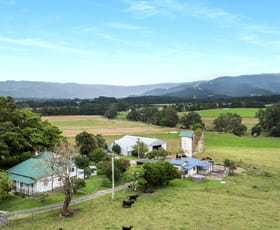 Rural / Farming commercial property for sale at 110 Homestead Lane Berry NSW 2535