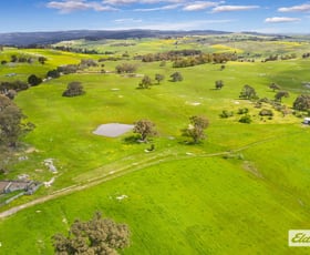 Rural / Farming commercial property for sale at Mission Hill Road Road Baynton East VIC 3444
