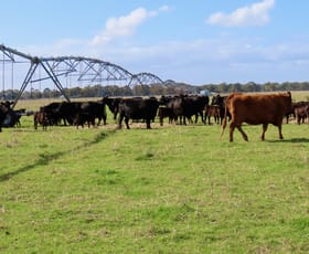 Rural / Farming commercial property for sale at 1324 Old Kalangadoo-Penola Rd Penola SA 5277