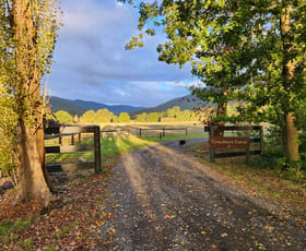 Rural / Farming commercial property sold at 21 Hall Road Healesville VIC 3777