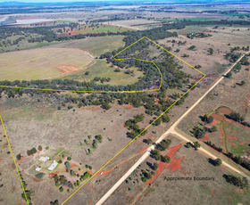 Rural / Farming commercial property sold at 'Goolwa' 24 Burrawang West Road Ootha NSW 2875