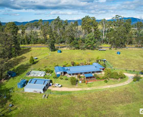 Rural / Farming commercial property for sale at 215 Myrtle Mountain Road Wyndham NSW 2550