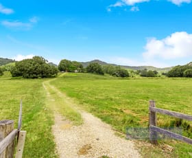Rural / Farming commercial property for sale at 371 The Pocket Road The Pocket NSW 2483