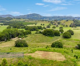 Rural / Farming commercial property for sale at 371 The Pocket Road The Pocket NSW 2483