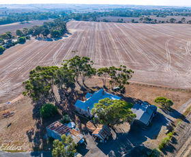 Rural / Farming commercial property for sale at 197 Chaunceys Line Road Hartley SA 5255