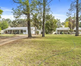 Rural / Farming commercial property for sale at 132 Mccallums Road Finley NSW 2713