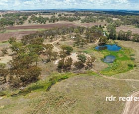 Rural / Farming commercial property for sale at 2479 Kings Plains Road Inverell NSW 2360