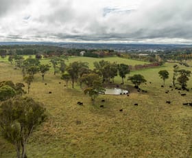 Rural / Farming commercial property for sale at 261-335 Bundarra Road Armidale NSW 2350