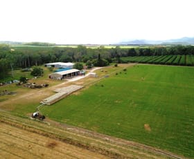 Rural / Farming commercial property for sale at 323 Malone Road Mareeba QLD 4880