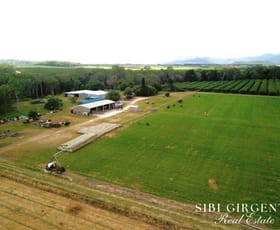 Rural / Farming commercial property for sale at Contact Agent Mareeba QLD 4880