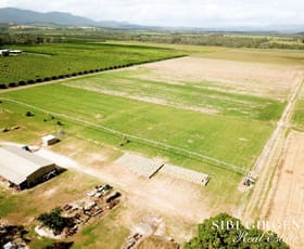 Rural / Farming commercial property for sale at Contact Agent Mareeba QLD 4880