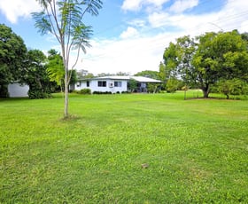 Rural / Farming commercial property for sale at Contact Agent Mareeba QLD 4880