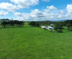 Rural / Farming commercial property for sale at RN928 Glen Allyn Rd Malanda QLD 4885