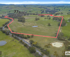 Rural / Farming commercial property for sale at Mission Hill Road Baynton East VIC 3444