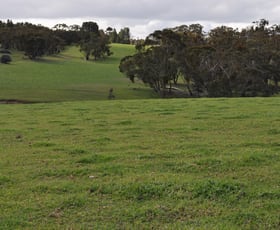 Rural / Farming commercial property sold at Bundaleer Gardens SA 5491