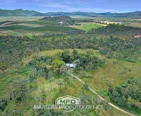 Rural / Farming commercial property for sale at 991 Leafgold Weir Road Dimbulah QLD 4872