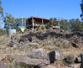 Rural / Farming commercial property for sale at 813 Bluff River Road Tenterfield NSW 2372