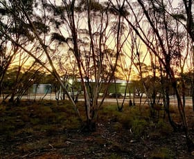 Rural / Farming commercial property sold at Sec 66 Hundred of Brownlow Brownlow SA 5374