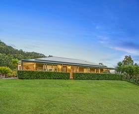 Rural / Farming commercial property for sale at 'Tangory' 1786 Glendonbrook Road Glendon Brook NSW 2330