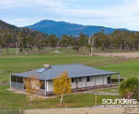 Rural / Farming commercial property for sale at 278 Bangor Road Bangor TAS 7267