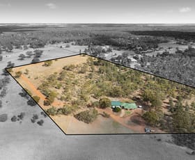 Rural / Farming commercial property for sale at 1 Ridgeview Road Narrandera NSW 2700