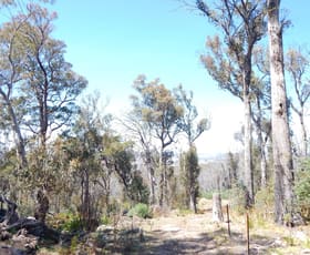 Rural / Farming commercial property for sale at Lot 102 Badja Road Countegany NSW 2630
