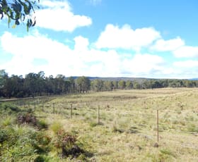 Rural / Farming commercial property for sale at Lot 102 Badja Road Countegany NSW 2630
