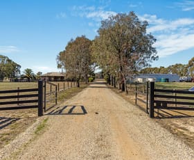 Rural / Farming commercial property for sale at 431 Nook Road Nagambie VIC 3608