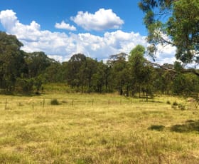 Rural / Farming commercial property for sale at 1025 Castlereagh Highway Dunedoo NSW 2844