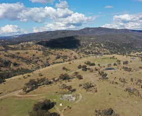 Rural / Farming commercial property for sale at 212 Mole Station Road Tenterfield NSW 2372