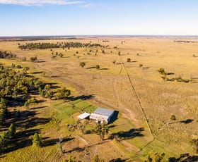 Rural / Farming commercial property for sale at Sandhurst/3769 Quambone Rd Coonamble NSW 2829